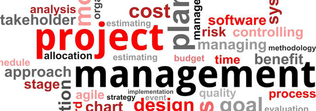 Project Management Consulting Services